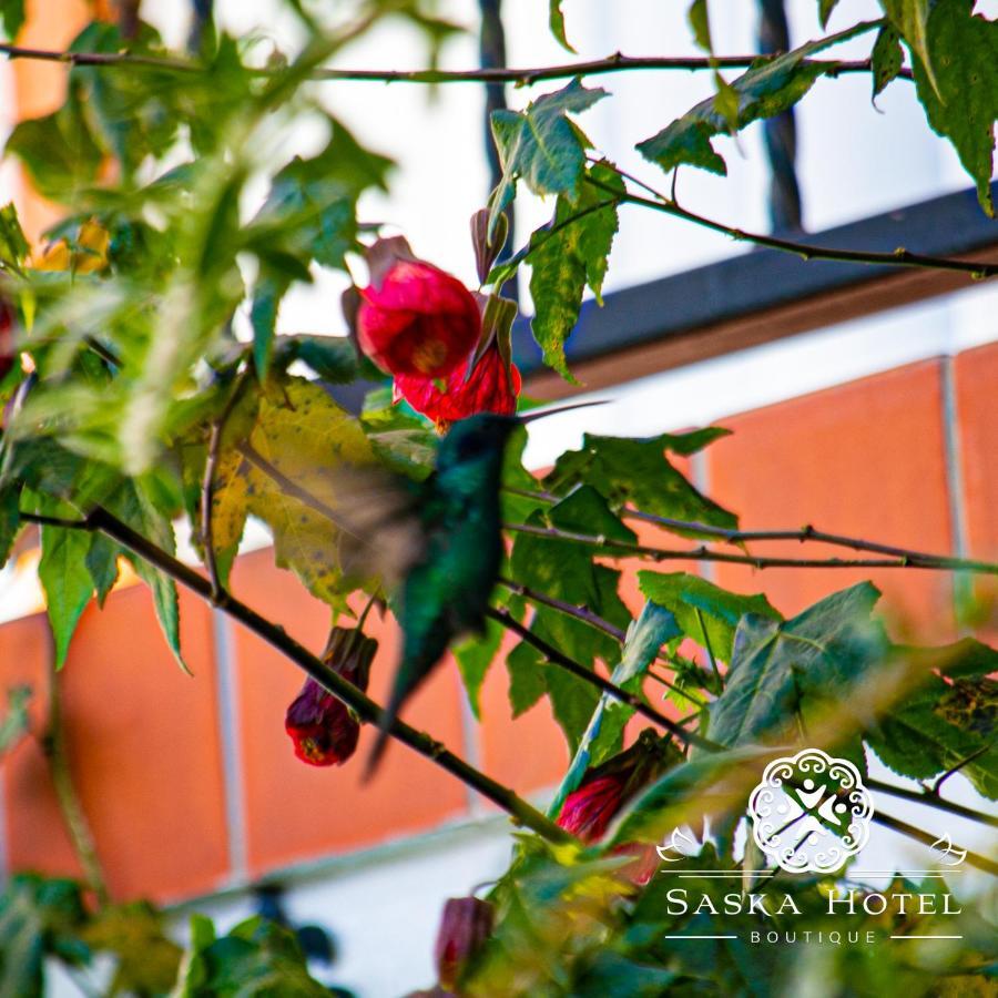 Saska Boutique Hotel Cusco Dış mekan fotoğraf